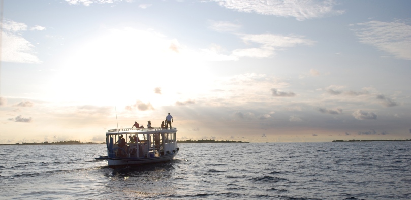 Maldives, 2008
